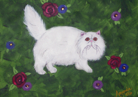Cat - Persian Meadow