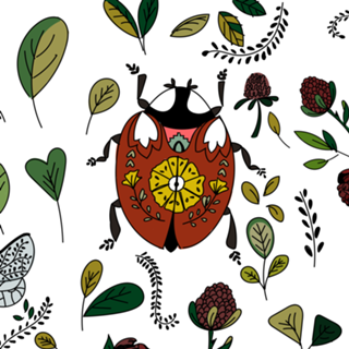 LadyBug