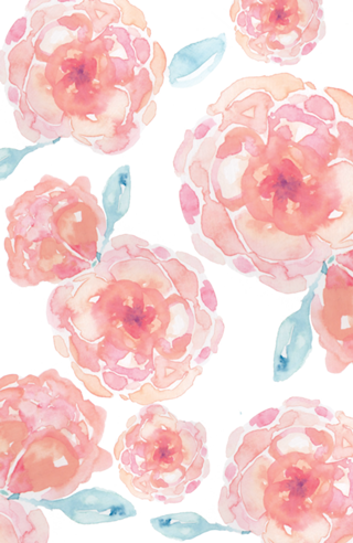 Rosas não falam