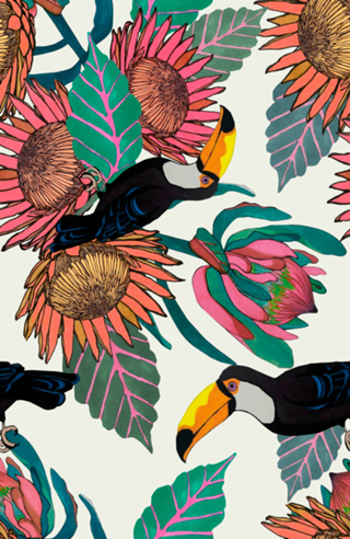 Tucano Brazil