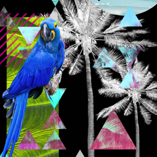 Dark Tropical