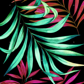 Palms