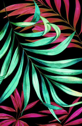 Palms