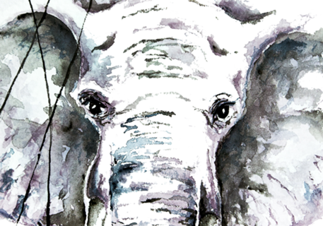 Elefante com balões