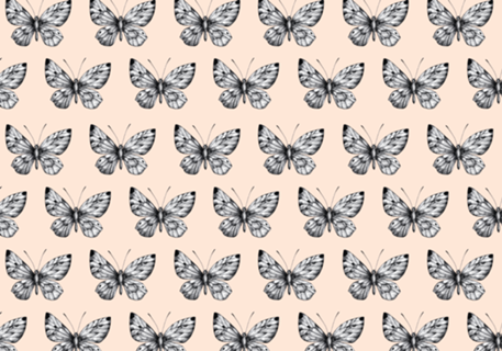 Metamorphosis