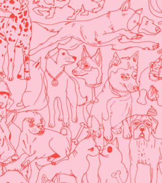 Red Dogs