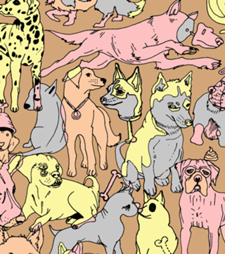 Colorful Dogs