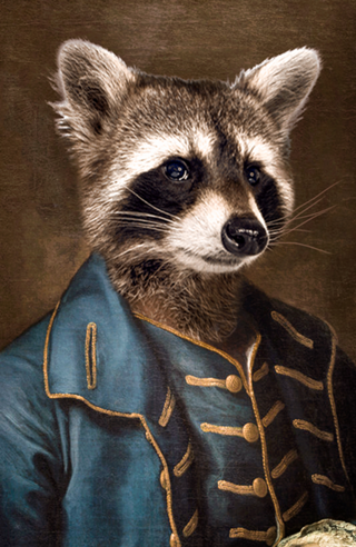 Sr Raccoon