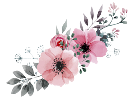 Flores rosas