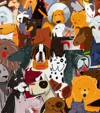 Cães