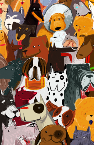 Cães