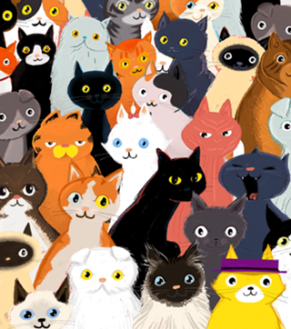 Gatos