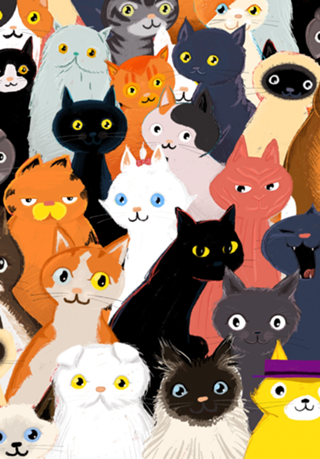Gatos
