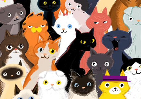 Gatos