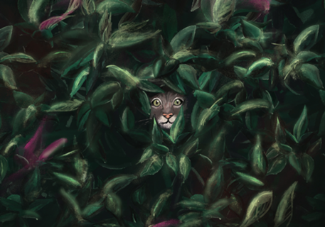 Gato rajado cinza escondido nas plantas