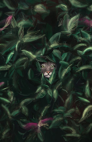 Gato rajado cinza escondido nas plantas