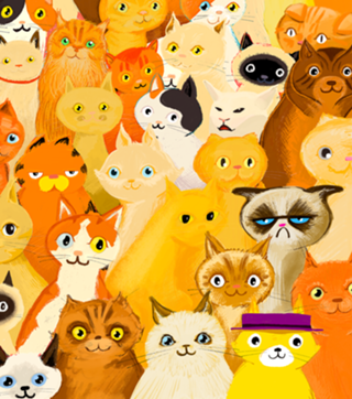 Gatos dourados