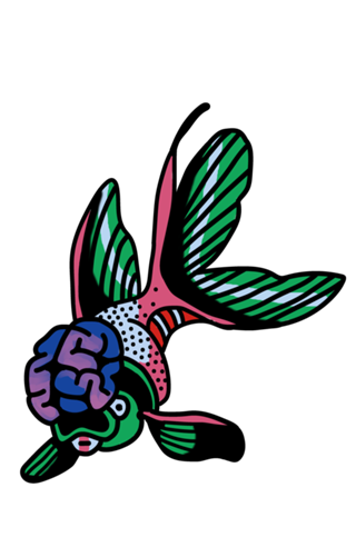 A fish