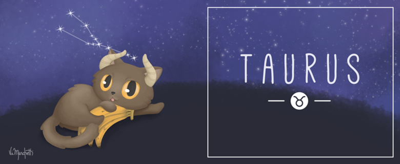 Gato de Touro