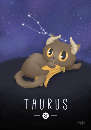Gato de Touro