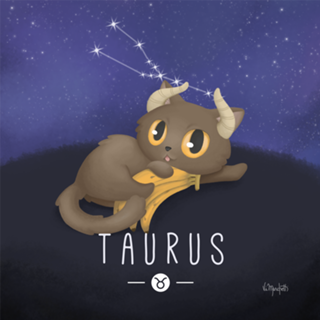 Gato de Touro