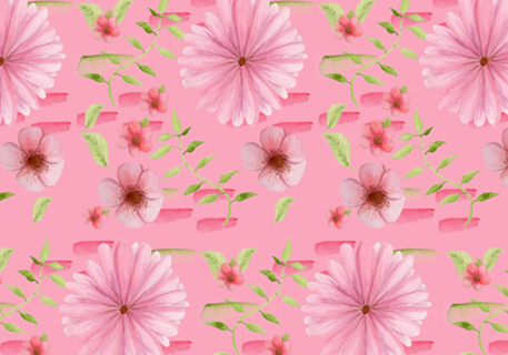 Jardim