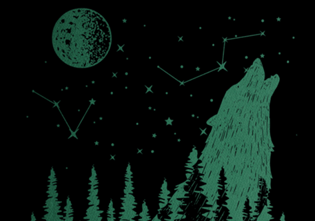 Night Wolf