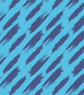PERFECT BRUSH
