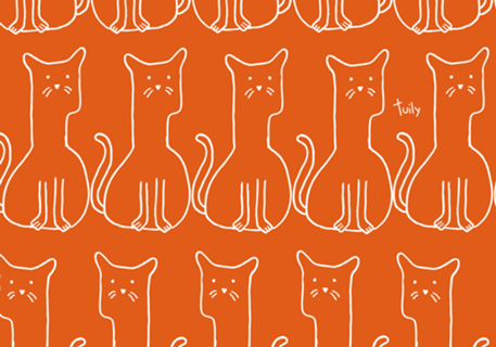 Gato