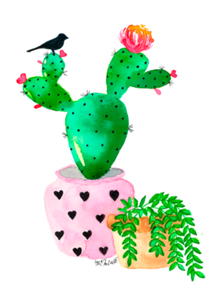 Cactus
