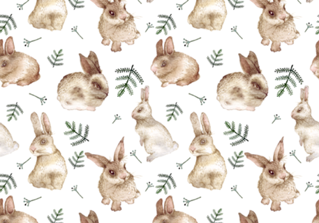 Coelhinhos