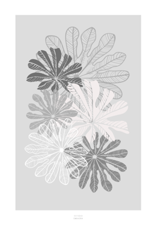 Embaúba Gray&Rose
