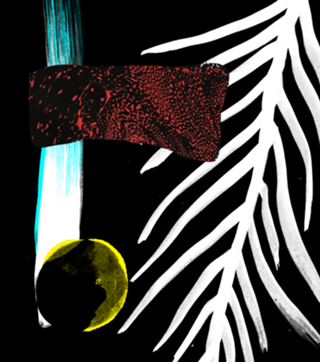 Meiameia/02 machado