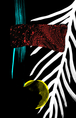 Meiameia/02 machado