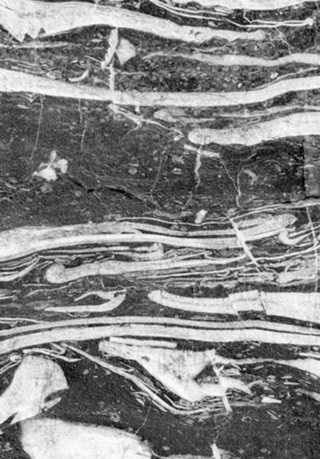 Marble Monochrome