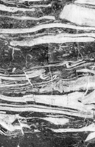 Marble Monochrome