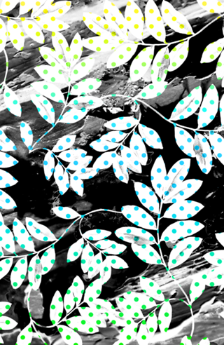 BUSH