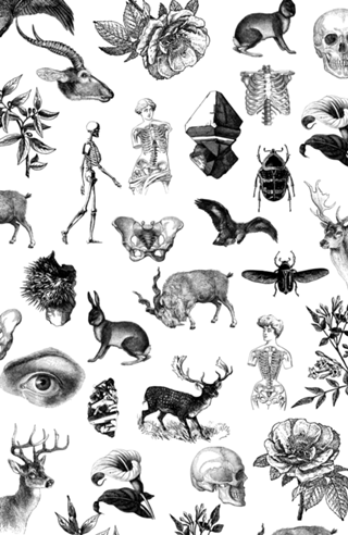 Biosfera