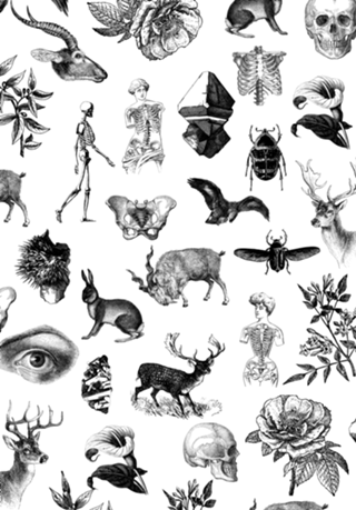 Biosfera