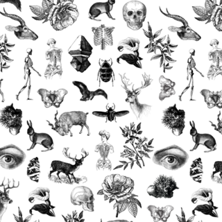 Biosfera