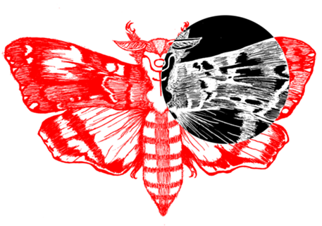 Mariposa