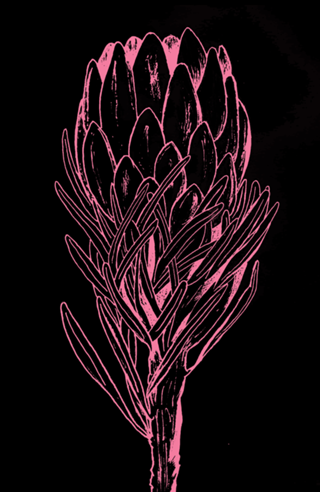 Flor