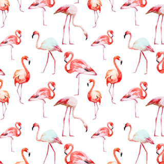 FLAMINGO IS LOVE
