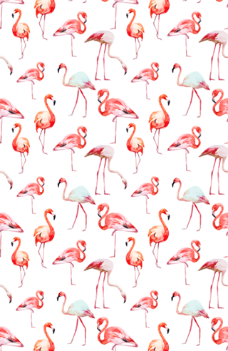 FLAMINGO IS LOVE