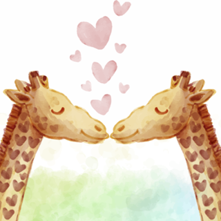 GIRAFFES IN LOVE