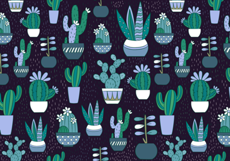 Cactus
