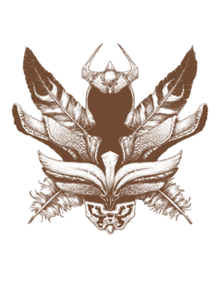 Ave Fenix