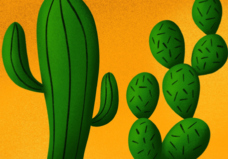 Cactus