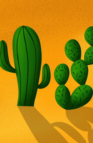 Cactus