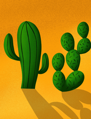 Cactus
